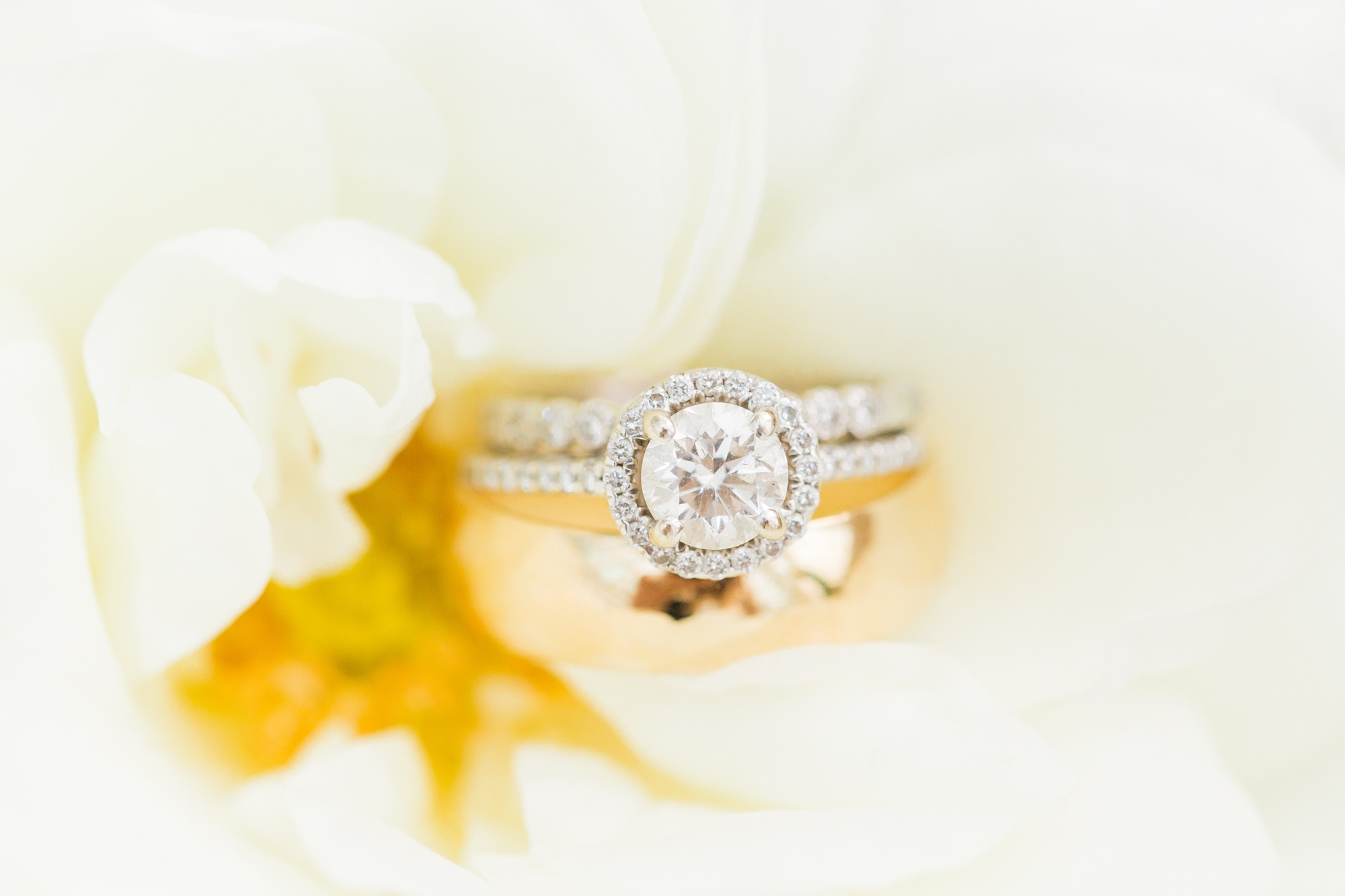 tlwp-halifax-engagement-photography_0192